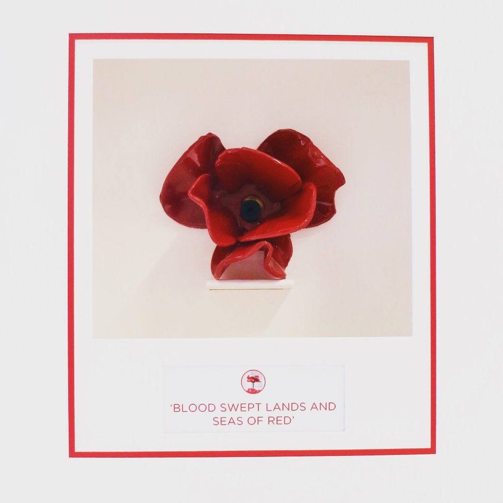 Box frame ceramic poppies