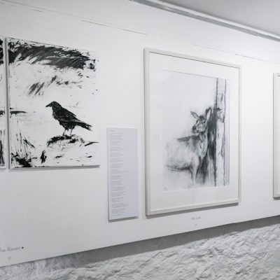 Framing an exhibition – ‘Untamed’ by Fiona Mackenzie